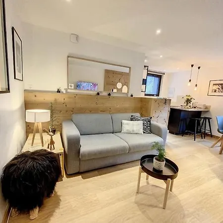 Appartement Splendide Centre Chamonix