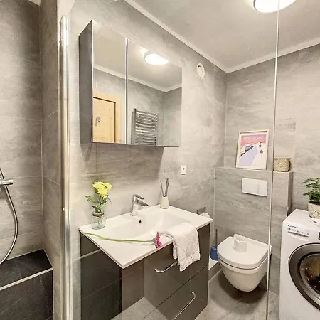 Appartement Splendide Centre Chamonix